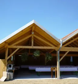 Vrhunska bela in rdeca vina spodnji ivanjci