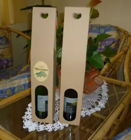 Vrhunsko belo vino gornja radgona