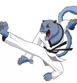 Dober taekwondo klub v Osrednji Sloveniji