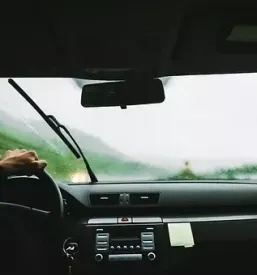 Taxi slovenske konjice