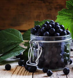 Bucno olje in aronija pomurje