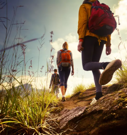 Planinski vodnik slovenija in tujina