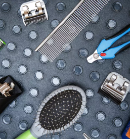 Dober pasji salon sentjur