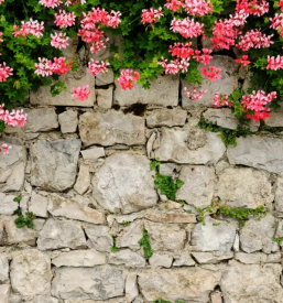 Kvalitetno tlakovanje dvorisc dolenjska