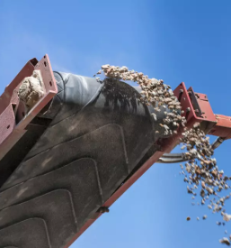 Pridelava peska Goriška