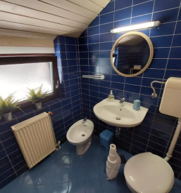 Druzinska apartmaja na gorenjskem