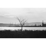 Videoprodukcija in fotografija, Aleksander Petric s.p.