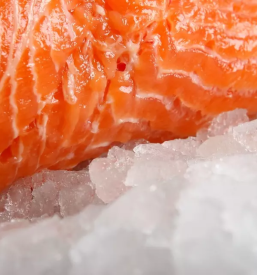 Prodaja svežih rib in mesa Primorska