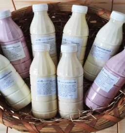 Domaci mlecni izdelki mirna pec