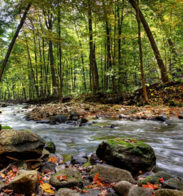 Kvalitetno vodenje po gozdni ucni poti verzej