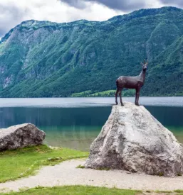 Obisk planinske koce bohinjsko jezero