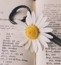 Online prevajanje in tolmacenje tujih jezikov ljubljana