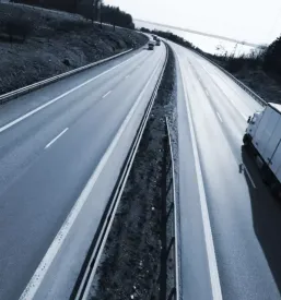 Paletni prevoz tovora ilirska bistrica