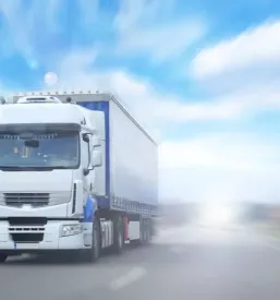 Paletni prevoz tovora ilirska bistrica