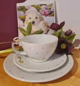 Poslikava keramike kamnik 