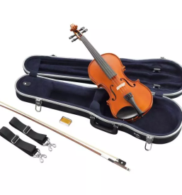 Prodaja glasbenih instrumentov stajerska