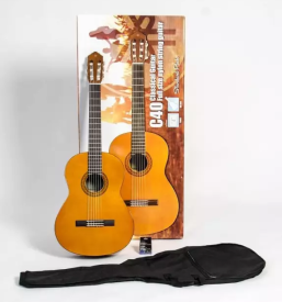 Prodaja solskih glasbil stajerska