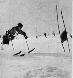 Sportna rekreacija za invalide in hendikepirane osebe ljubljana slovenija