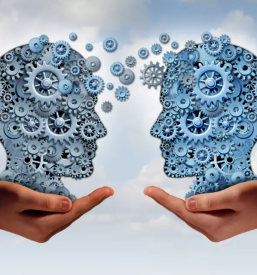 Terapevtske storitve maribor