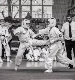 Treningi borilnih vescin ptuj podravje