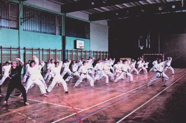 Treningi borilnih veščin Ptuj, Podravje