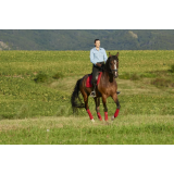 Spletna trgovina Griva, Klara Okorn s.p.