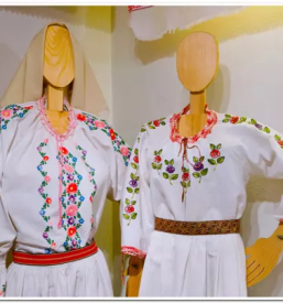 Najem zidanice Bela krajina