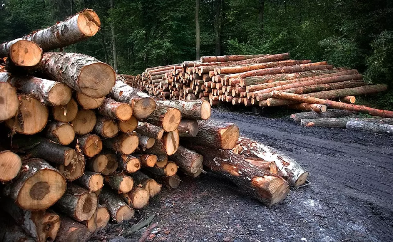 Izdelava lesenih palet Hotedršica