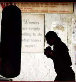 Dober boks klub maribor