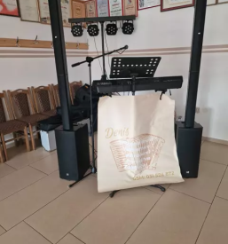 Dober muzikant stajerska