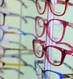 Dobra optika savinjska