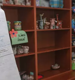 Dom za odrasle osebe s tezavami v dusevnem zdravju