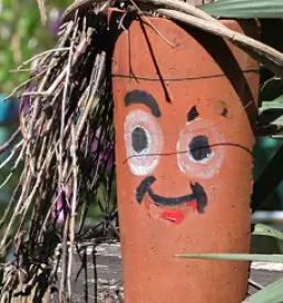 Dom za odrasle osebe s tezavami v dusevnem zdravju