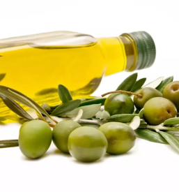 Vrhunsko olivno olje Primorska