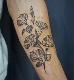 Kvaliteten tetover koper