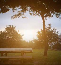 Najem dvorane miz in klopi zalec savinjska