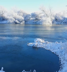 Karte za ribolov Radgona
