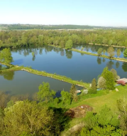 Dovolilnice za ribolov Radgona