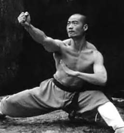 Tradicionalne vadbe qi gonga meditacije in kung fuja ljubljana