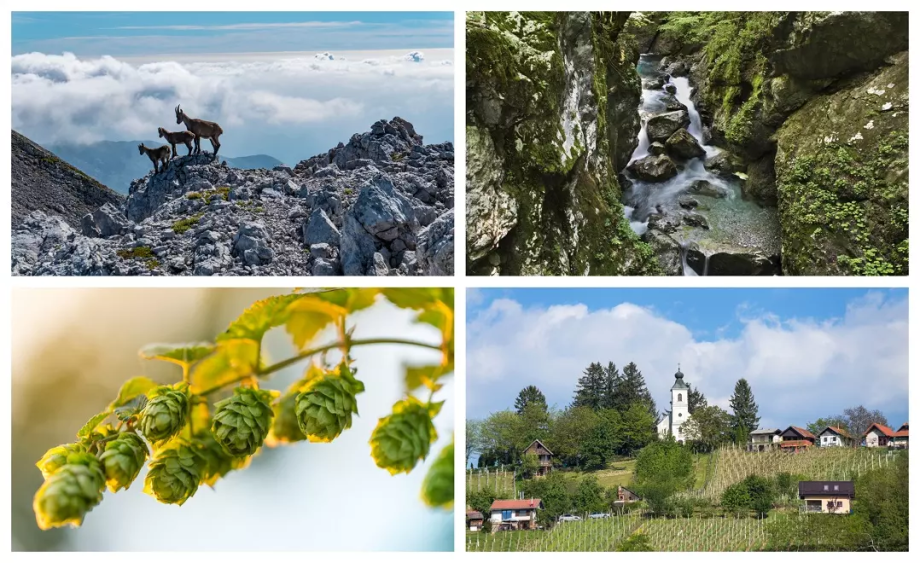 Fotografije slovenske narave