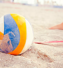 Ugoden najem supov in odbojka na mivki moravske toplice