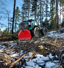 Ugodna secnja in spravilo lesa slovenija