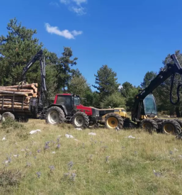 Ugodna secnja in spravilo lesa slovenija