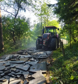 Ugodna secnja in spravilo lesa slovenija