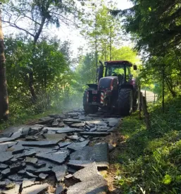 Ugodna secnja in spravilo lesa slovenija