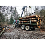 Gozdarstvo Mazi, Blaž Mazi s.p.