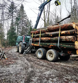 Ugodna secnja in spravilo lesa slovenija