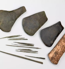 Strokovni vodeni ogledi Vrhnika