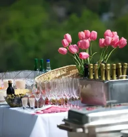 Catering visoke kulinarike za prireditve maribor stajerska