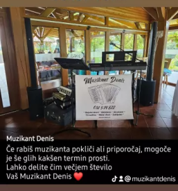 Najem dobrega muzikanta stajerska